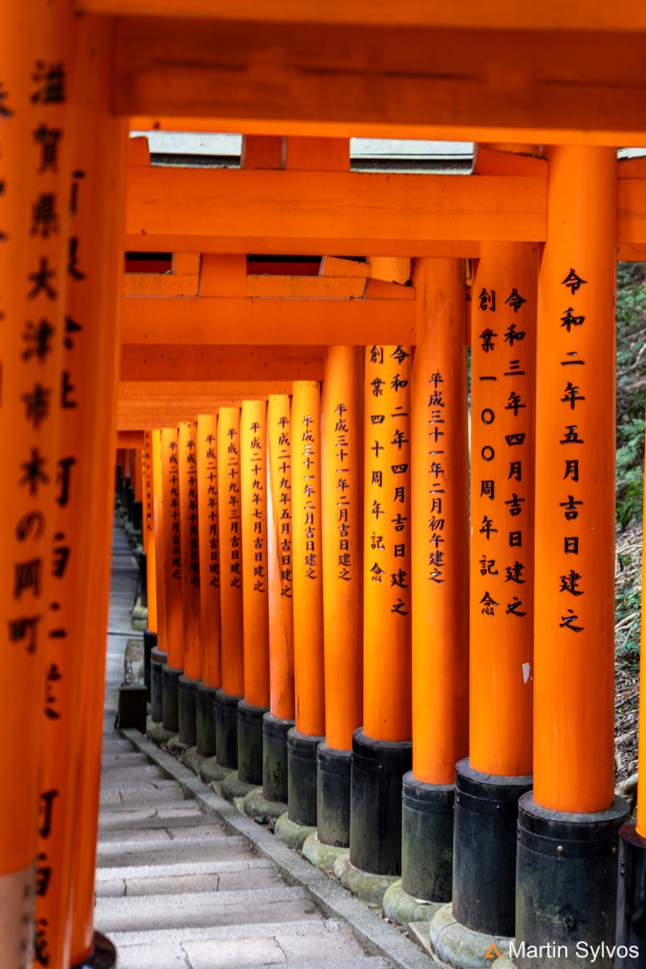 2025 Japon martin sylvos 39